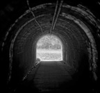 Into the light